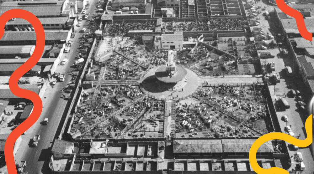 ZIBo: paisaje industrial y memoria urbana