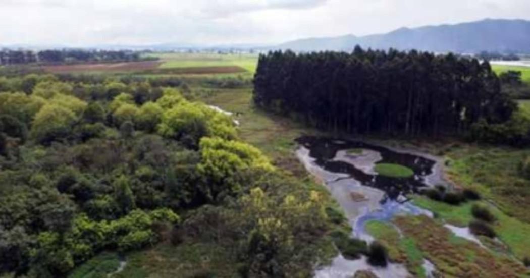 Fotografía zona protegida de Bogotá